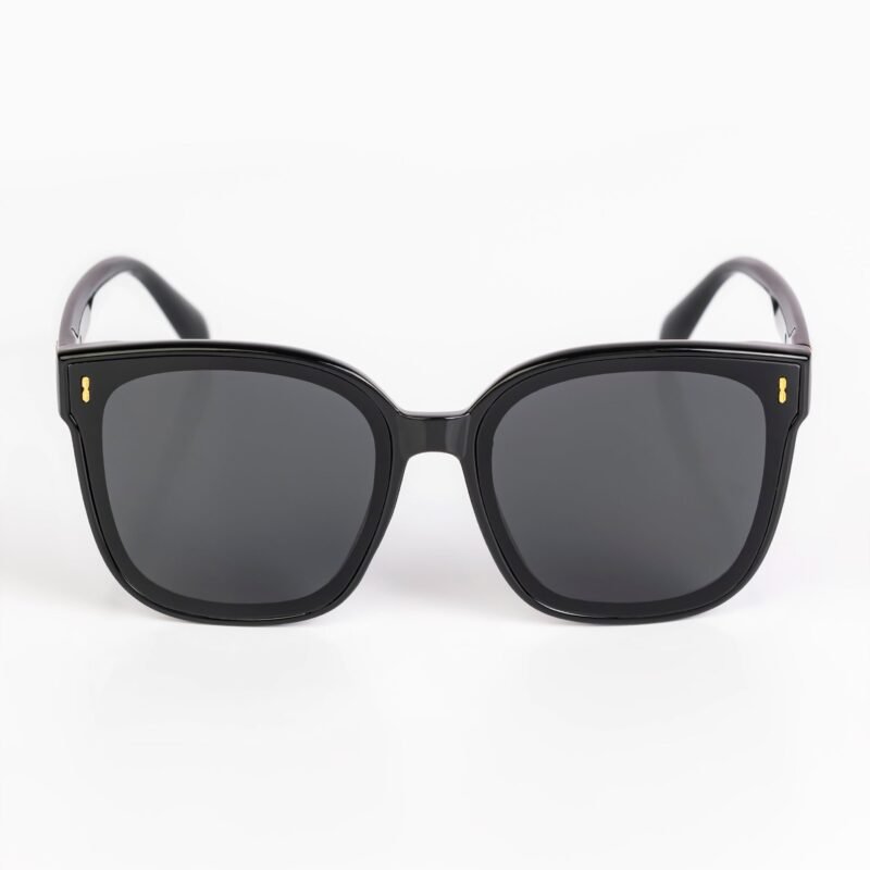 Wayfarer Sunglasses